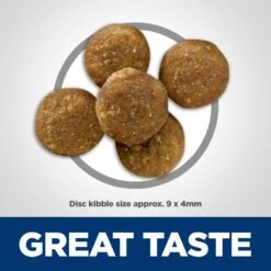 Hill's Science Diet Adult Perfect Digestion Salmon Dry Cat Food 11 Hill's Science Diet Adult Perfect Digestion Salmon Dry Cat Food -Wellness Sales Store 266842 PT2. AC SS1800 V1614208613