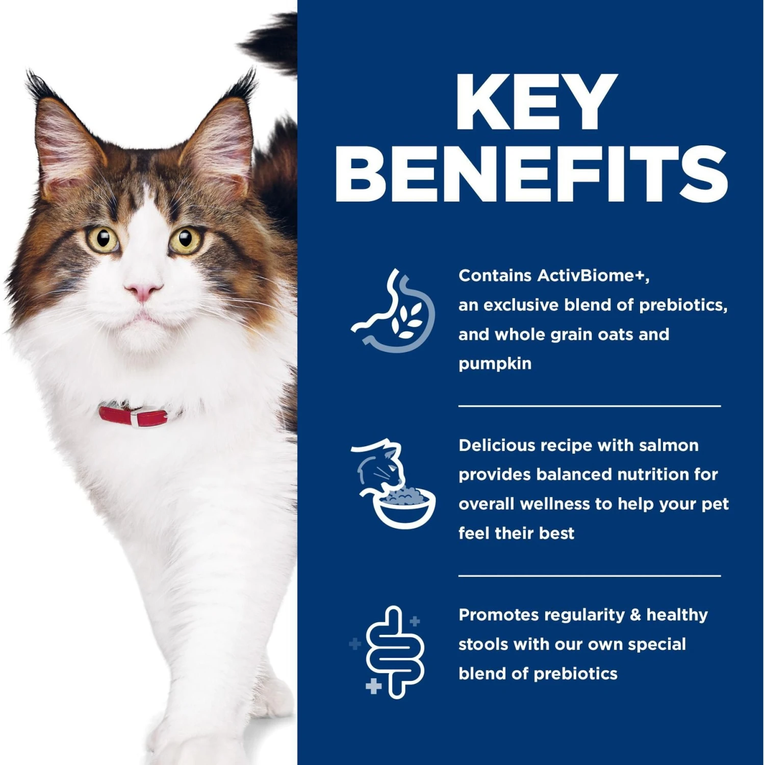 Hill's Science Diet Adult Perfect Digestion Salmon Dry Cat Food 6 Hill's Science Diet Adult Perfect Digestion Salmon Dry Cat Food - Image 6