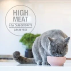 Feline Natural Chicken & Lamb Feast Grain-Free Wet Cat Food, 3-oz Pouch, Case Of 12 10 Feline Natural Chicken & Lamb Feast Grain-Free Wet Cat Food, 3-oz Pouch, Case Of 12 -Wellness Sales Store 277488 PT3. AC SS1800 V1686058413