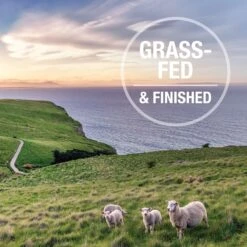 Feline Natural Chicken & Lamb Feast Grain-Free Wet Cat Food, 3-oz Pouch, Case Of 12 12 Feline Natural Chicken & Lamb Feast Grain-Free Wet Cat Food, 3-oz Pouch, Case Of 12 -Wellness Sales Store 277488 PT5. AC SS1800 V1686058417