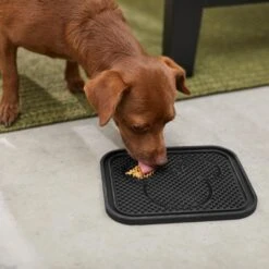 Disney Mickey Silicone Dog & Cat Lick Mat 6 Disney Mickey Silicone Dog & Cat Lick Mat -Wellness Sales Store 291437 PT2. AC SS1800 V1633978976