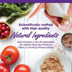 Wellness Complete Health Kitten Chicken Entree Recipe Natural Canned Cat Food & Wellness CORE Natural Grain-Free Turkey & Chicken Liver Pate Canned Kitten Food -Wellness Sales Store 294276 PT3. AC SS1800 V1621989848