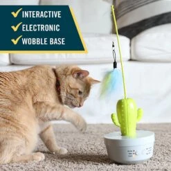 OurPets Cactus Wand Cat Toy -Wellness Sales Store 295682 PT2. AC SS1800 V1632947471