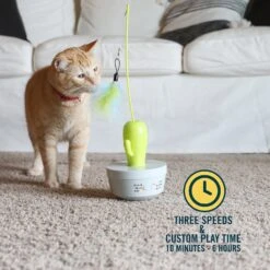 OurPets Cactus Wand Cat Toy -Wellness Sales Store 295682 PT3. AC SS1800 V1632947513