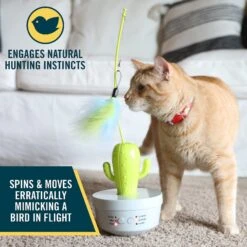 OurPets Cactus Wand Cat Toy -Wellness Sales Store 295682 PT4. AC SS1800 V1632947541