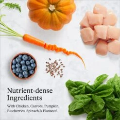 American Journey Kitten Chicken Recipe Grain-Free Dry Cat Food, 5-lb Bag & American Journey Kitten Minced Chicken Recipe in Gravy Grain-Free Canned Cat Food, 3-oz, Case Of 24 -Wellness Sales Store 297740 PT8. AC SS1800 V1694612912