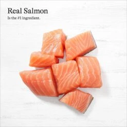 American Journey Pate Salmon Recipe Grain-Free Canned Cat Food, 3-oz Can, 24 Count & Wellness Complete Health Turkey & Salmon Formula Grain-Free Natural Canned Cat Food 13 American Journey Pate Salmon Recipe Grain-Free Canned Cat Food, 3-oz Can, 24 Count & Wellness Complete Health Turkey & Salmon Formula Grain-Free Natural Canned Cat Food -Wellness Sales Store 297798 PT4. AC SS1800 V1694615893