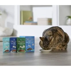 Tiny Tiger, Lickables, Variety Pack, Bisque Cat Treat & Topper 12 Tiny Tiger, Lickables, Variety Pack, Bisque Cat Treat & Topper -Wellness Sales Store 299262 PT4. AC SS1800 V1668549456