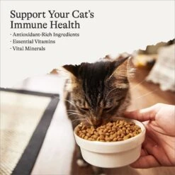 Front Page 11 Front Page -Wellness Sales Store 299542 PT1. AC SS1800 V1663687892