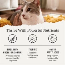 American Journey Sensitive Stomach Total Health Formula Chicken & Brown Rice Recipe Dry Cat Food, 15lb Bag -Wellness Sales Store 299542 PT4. AC SS1800 V1668737455