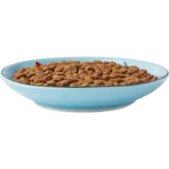 Frisco New York Non-skid Ceramic Cat Dish & Frisco New York Non-skid Ceramic Cat Bowl -Wellness Sales Store 302488 PT2. AC SS1800 V1623059244