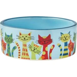 Frisco New York Non-skid Ceramic Cat Dish & Frisco New York Non-skid Ceramic Cat Bowl -Wellness Sales Store 302488 PT5. AC SS1800 V1623082944