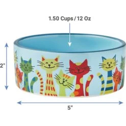 Frisco New York Non-skid Ceramic Cat Dish & Frisco New York Non-skid Ceramic Cat Bowl -Wellness Sales Store 302488 PT7. AC SS1800 V1623052360