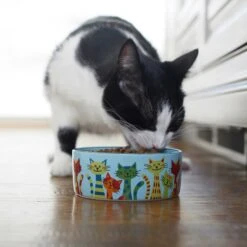 Frisco New York Non-skid Ceramic Cat Dish & Frisco New York Non-skid Ceramic Cat Bowl -Wellness Sales Store 302488 PT8. AC SS1800 V1623091056