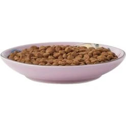 Frisco Paris Non-skid Ceramic Cat Dish & Frisco Paris Non-skid Ceramic Cat Dish 11 Frisco Paris Non-skid Ceramic Cat Dish & Frisco Paris Non-skid Ceramic Cat Dish -Wellness Sales Store 302490 PT2. AC SS1800 V1623058041