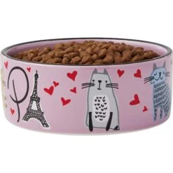 Frisco Paris Non-skid Ceramic Cat Dish & Frisco Paris Non-skid Ceramic Cat Dish 15 Frisco Paris Non-skid Ceramic Cat Dish & Frisco Paris Non-skid Ceramic Cat Dish -Wellness Sales Store 302490 PT6. AC SS1800 V1623067060