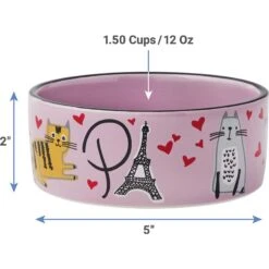 Frisco Paris Non-skid Ceramic Cat Dish & Frisco Paris Non-skid Ceramic Cat Dish 16 Frisco Paris Non-skid Ceramic Cat Dish & Frisco Paris Non-skid Ceramic Cat Dish -Wellness Sales Store 302490 PT7. AC SS1800 V1623054762