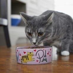 Frisco Paris Non-skid Ceramic Cat Dish & Frisco Paris Non-skid Ceramic Cat Dish 17 Frisco Paris Non-skid Ceramic Cat Dish & Frisco Paris Non-skid Ceramic Cat Dish -Wellness Sales Store 302490 PT8. AC SS1800 V1623043046