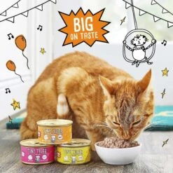 Tiny Tiger Pate Turkey & Giblets Recipe Grain-Free Canned Cat Food & Tiny Tiger Catnip Craze Flavor Filled Cat Treats -Wellness Sales Store 303760 PT2. AC SS1800 V1623077864