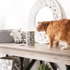 Bone Dry Ceramic Meow Cat Treat Canister -Wellness Sales Store 313400 PT4. AC SS1800 V1631765581