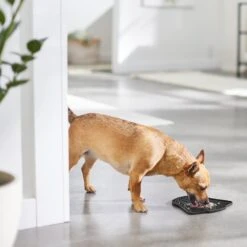 STAR WARS DARTH VADER Silicone Dog & Cat Lick Mat -Wellness Sales Store 315335 PT2. AC SS1800 V1647281635