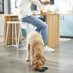 Disney Mickey Mouse Silicone Dog & Cat Lick Mat -Wellness Sales Store 315337 PT2. AC SS1800 V1647282821