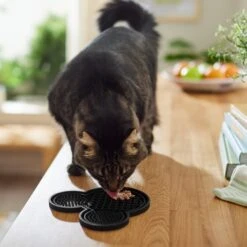 Disney Mickey Mouse Silicone Dog & Cat Lick Mat -Wellness Sales Store 315337 PT3. AC SS1800 V1647281954