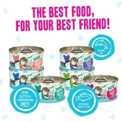 Weruva B.F.F. PLAY Best Feline Friend Pate Lovers, Aw Yeah! Blue Pate Buffet Variety Pack Wet Cat Food -Wellness Sales Store 315733 PT4. AC SS1800 V1682627568