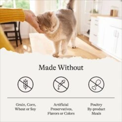 American Journey Senior Pate Chicken Recipe Canned Cat Food, 3-oz Can, Case Of 24 16 American Journey Senior Pate Chicken Recipe Canned Cat Food, 3-oz Can, Case Of 24 -Wellness Sales Store 330851 PT7. AC SS1800 V1691614425