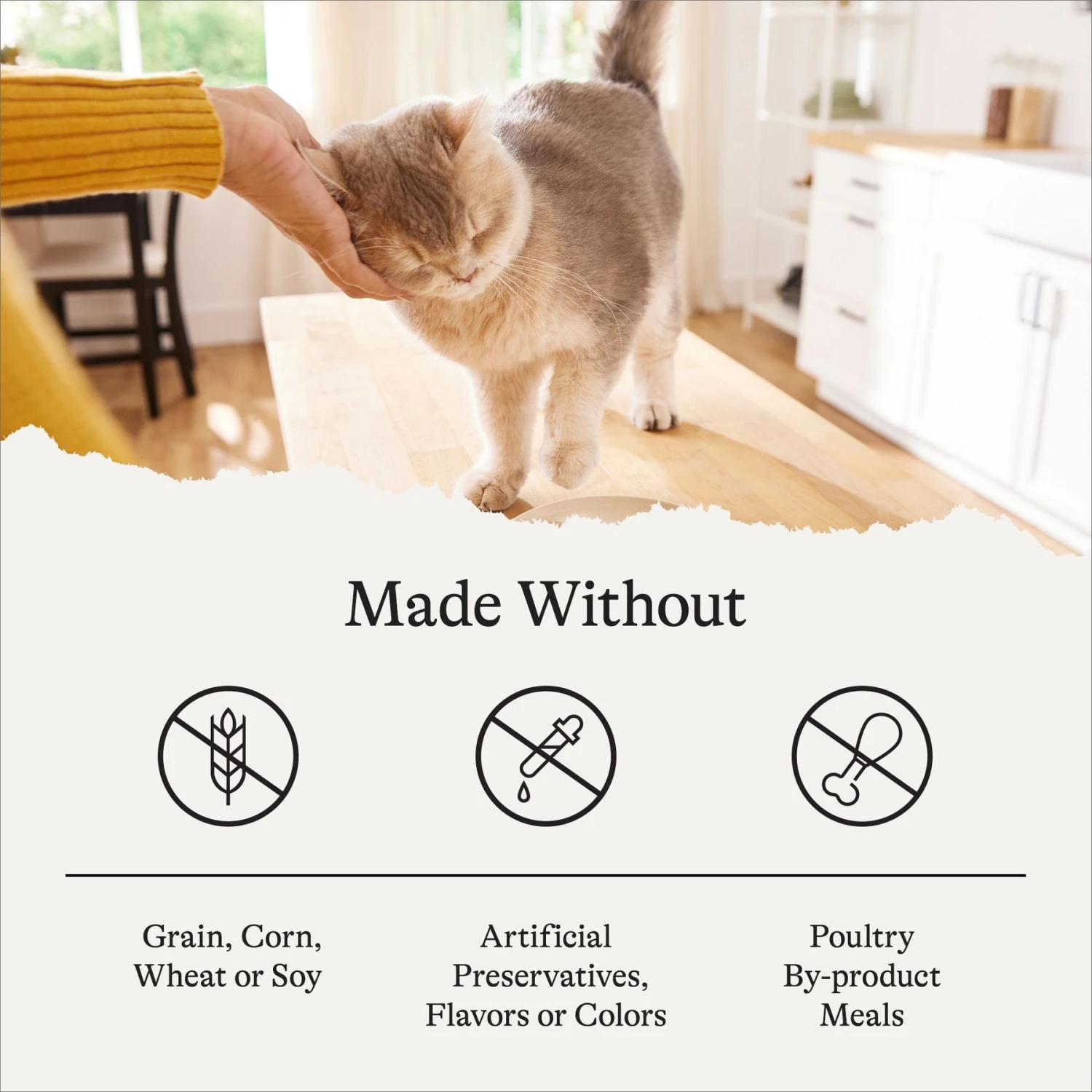 American Journey Senior Pate Chicken Recipe Canned Cat Food, 3-oz Can, Case Of 24 8 American Journey Senior Pate Chicken Recipe Canned Cat Food, 3-oz Can, Case Of 24 - Image 8