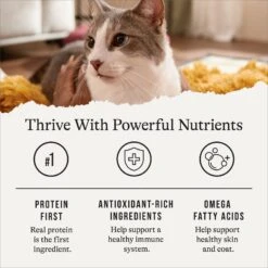 American Journey Senior Pate Salmon Recipe Canned Cat Food, 3-oz Can, Case Of 24 14 American Journey Senior Pate Salmon Recipe Canned Cat Food, 3-oz Can, Case Of 24 -Wellness Sales Store 330853 PT5. AC SS1800 V1691614424