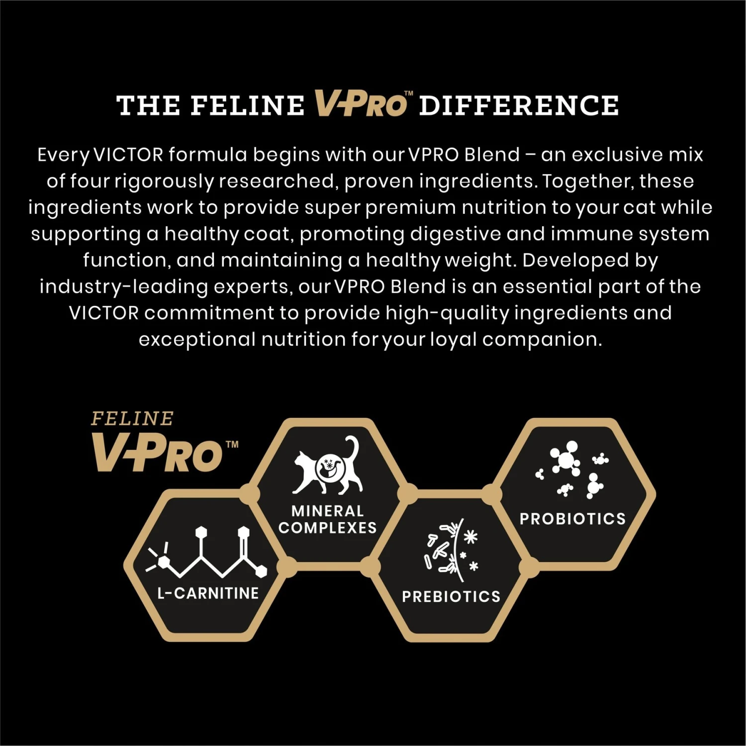 VICTOR Hi-Pro Plus Active Cat & Kitten Ocean Fish Recipe Dry Cat Food 3 VICTOR Hi-Pro Plus Active Cat & Kitten Ocean Fish Recipe Dry Cat Food - Image 3