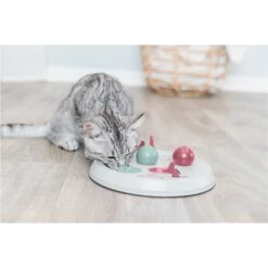 TRIXIE Cat Activity Flip Board Cat Toy -Wellness Sales Store 334173 PT2. AC SS1800 V1633548983