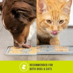 Hyper Pet IQ Enterain Dog & Cat Lick Mat, Gray -Wellness Sales Store 338384 PT4. AC SS1800 V1634654810