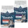 Blue Buffalo Tastefuls Natural Chicken Adult 7+ Dry Cat Food & Blue Buffalo Indoor Hairball & Weight Control Chicken & Brown Rice Recipe Adult Dry Cat Food
