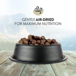 Addiction Grain-Free Salmon Bleu Dry Cat Food 11 Addiction Grain-Free Salmon Bleu Dry Cat Food -Wellness Sales Store 342113 PT2. AC SS1800 V1635794487