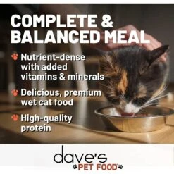Dave's Pet Food Shredded Chicken & Duck Dinner In Gravy Recipe Wet Cat Food, 2.8-oz Can, Case Of 24 -Wellness Sales Store 352433 PT2. AC SS1800 V1640271697