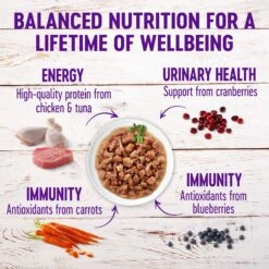 Wellness Healthy Indulgence Gravies Grain-Free Variety Pack Cat Food Pouches & Wellness Kittles Natural Grain-Free Salmon & Cranberries Crunchy Cat Treats 13 Wellness Healthy Indulgence Gravies Grain-Free Variety Pack Cat Food Pouches & Wellness Kittles Natural Grain-Free Salmon & Cranberries Crunchy Cat Treats -Wellness Sales Store 353444 PT4. AC SS1800 V1639524409