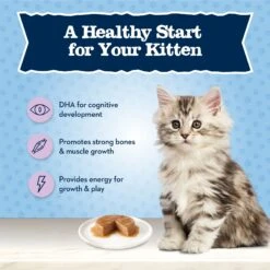 Blue Buffalo Baby Blue Healthy Growth Formula Natural Chicken & Brown Rice Recipe Kitten Dry Food -Wellness Sales Store 354156 PT3. AC SS1800 V1641338799