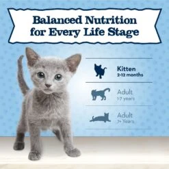 Blue Buffalo Baby Blue Healthy Growth Formula Natural Chicken & Brown Rice Recipe Kitten Dry Food -Wellness Sales Store 354156 PT7. AC SS1800 V1641340028
