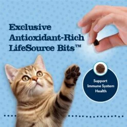 Blue Buffalo Baby Blue Healthy Growth Formula Grain-Free High Protein Chicken & Pea Recipe Kitten Dry Food -Wellness Sales Store 354158 PT6. AC SS1800 V1641338239