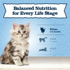 Blue Buffalo Baby Blue Healthy Growth Formula Grain-Free High Protein Chicken & Pea Recipe Kitten Dry Food -Wellness Sales Store 354158 PT7. AC SS1800 V1641334592