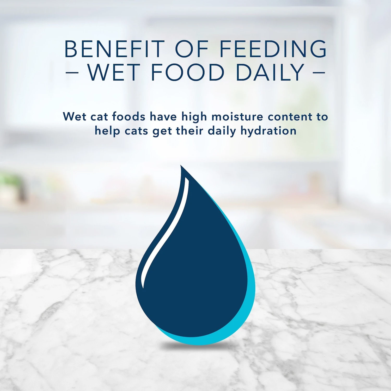 Blue Buffalo Tastefuls Spoonless Singles Beef Entrée Pate Adult Cat Food, 2.6-oz Cup, Case Of 24 8 Blue Buffalo Tastefuls Spoonless Singles Beef Entrée Pate Adult Cat Food, 2.6-oz Cup, Case Of 24 - Image 8