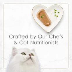 Fancy Feast Gourmet Pate Petites Tender Turkey Entree Wet Cat Food 14 Fancy Feast Gourmet Pate Petites Tender Turkey Entree Wet Cat Food -Wellness Sales Store 358575 PT6. AC SS1800 V1649700420