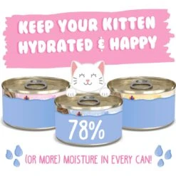 Weruva Kitten Fur Baby Favorites Chicken Flavored Shredded Wet Cat Food Variety Pack, 3-oz Can, Case Of 12 -Wellness Sales Store 373278 PT3. AC SS1800 V1649879824