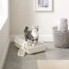 Sam's Pets Helix Cat Litter Box, White
