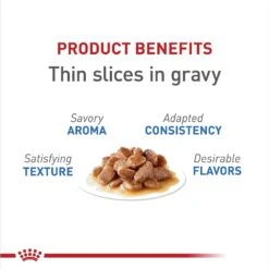 Royal Canin Feline Care Nutrition Weight Care Adult Thin Slices In Gravy Canned Cat Food -Wellness Sales Store 48738 PT2. AC SS1800 V1694791788