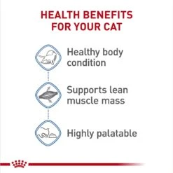 Royal Canin Feline Care Nutrition Weight Care Adult Thin Slices In Gravy Canned Cat Food -Wellness Sales Store 48738 PT3. AC SS1800 V1694791852