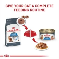 Royal Canin Feline Care Nutrition Weight Care Adult Thin Slices In Gravy Canned Cat Food -Wellness Sales Store 48738 PT5. AC SS1800 V1694790517