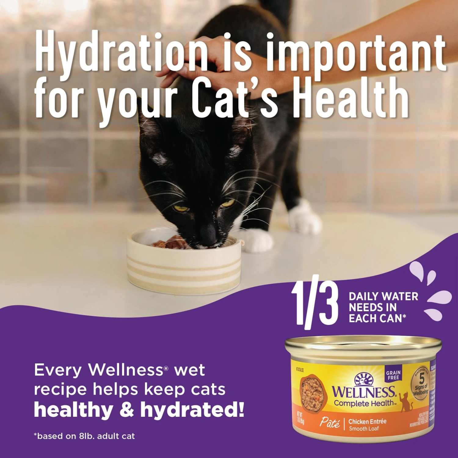 Wellness Complete Health Turkey Formula Grain-Free Natural Canned Cat Food 4 Wellness Complete Health Turkey Formula Grain-Free Natural Canned Cat Food - Image 4